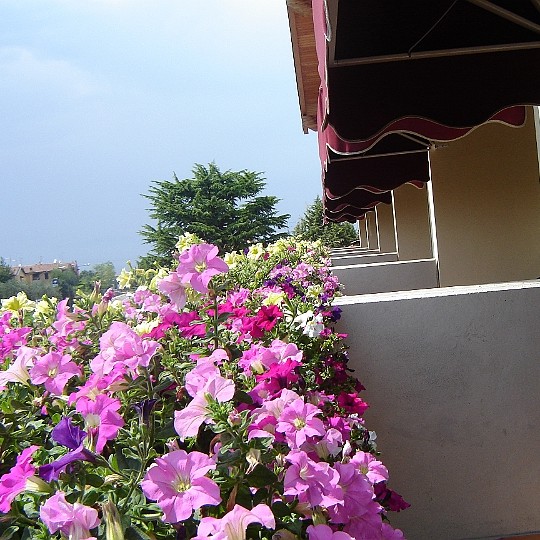 Hotel da Roberto a Lazise