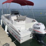 OLYMPIA BOAT CHARTER