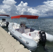 OLYMPIA BOAT CHARTER