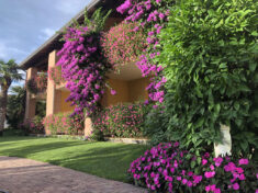 Residence Olympia
