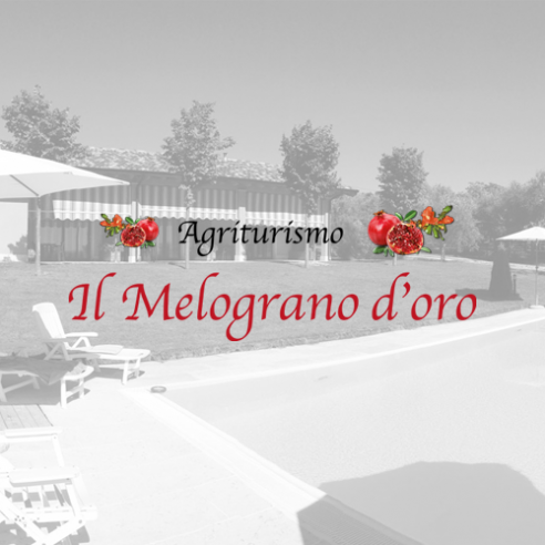siti web Bardolino